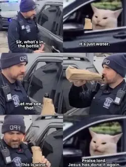 1781735983526.png