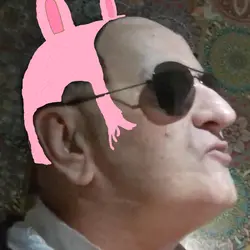 Pippa flow.png