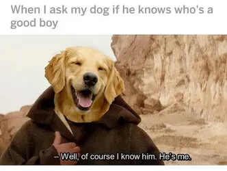 DswB8PH.jpg