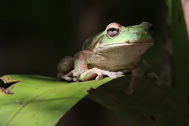 1781814745198.png