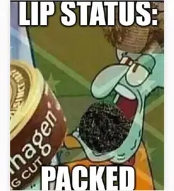 6e95m6aoyvqb1.jpg