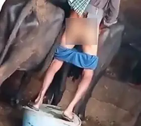 Pajeet raping cow 3.png