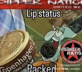 lip-status-v0-o7gv0q9j484h1.jpg