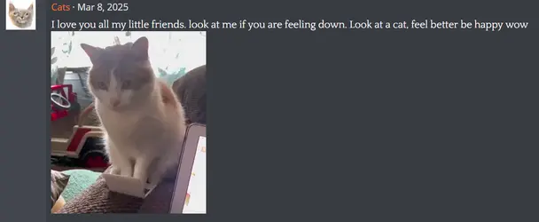 1781822007510.png