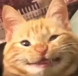 1670936043123232.png