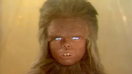 phillip-paley-cha-ka-1739915482.jpg