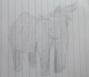 1781928735657.png