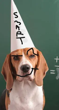 image_20260620_173806.png