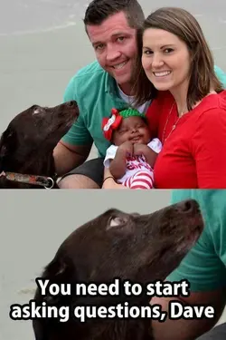 dogQuestions.jpeg