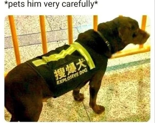 Untitled.jpeg