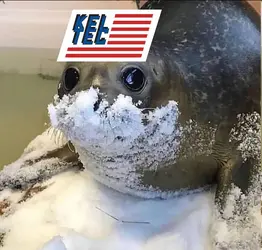 1782086752515.png