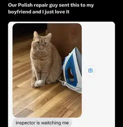1000039203.jpg