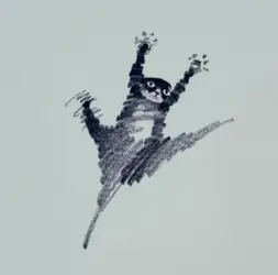 1782104481321.png