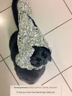 if_only_tinfoil_edition_1449049387104.png