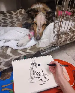 this-good-boy-was-having-a-pretty-hard-time-in-his-kennel-v0-vijrnlnxtb581.jpg