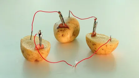 potato-light-2.jpg
