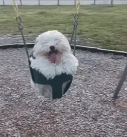 swinging.webp