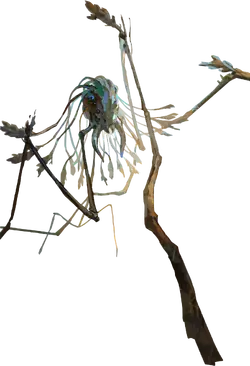 12-6-A_harry_approaches_phasmid.png