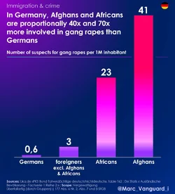 Germany - Rape - Afghan & Africans.jpg