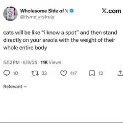areola.jpg