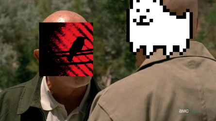 wehadcover.jpg