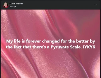 wernscale.jpg