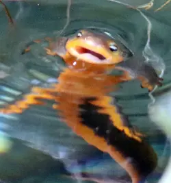 1782545120487.png