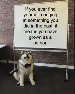 1781471631633258.jpg