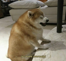 1779177031896108.jpg