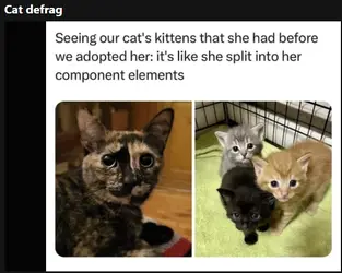 cat_defrag.png