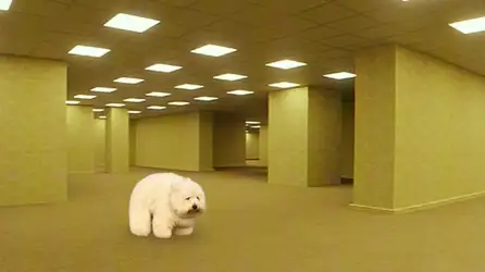 backrooms.jpg