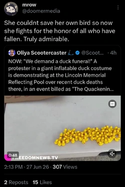 1000045557.jpg