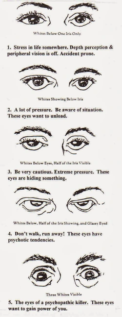 sanpaku eyes.jpg