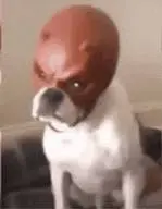 1782754817089.png