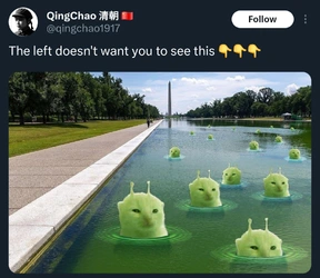 ccnabsm9z7ah1.jpg