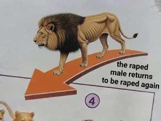HI7lfRIW4AAjoI8.png