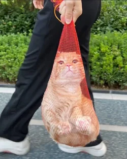 HLt-sO4bUAAMSCw.jpg