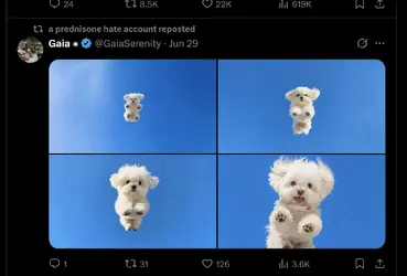 Screenshot 2026-06-30 at 20.11.39.png