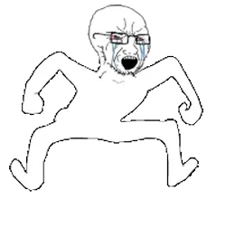 soyjak-angry.gif