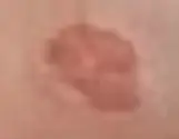 1782854758745.png