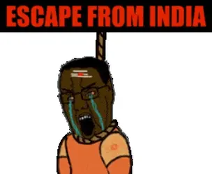 ESCAPE INDIA WORKS EVERYTIME.gif