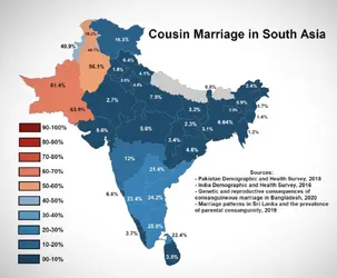 Inbreeding in South Asia.png