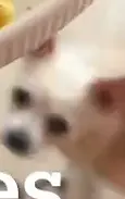 1783011122259.png