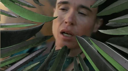 page blades.jpg