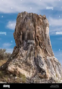 1783057521155.png