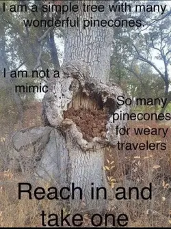 1000011114.png