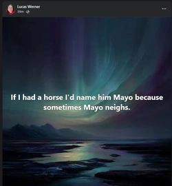 wernhorse.jpg