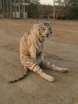 daily_picdump_4137_640_high_12.jpg