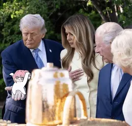 1783135915893653.gif
