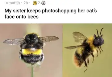 fghgfg.jpg